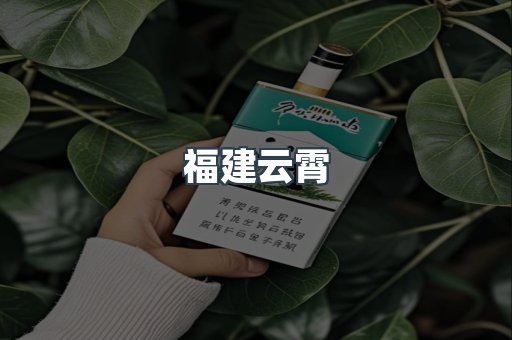 福建云霄
